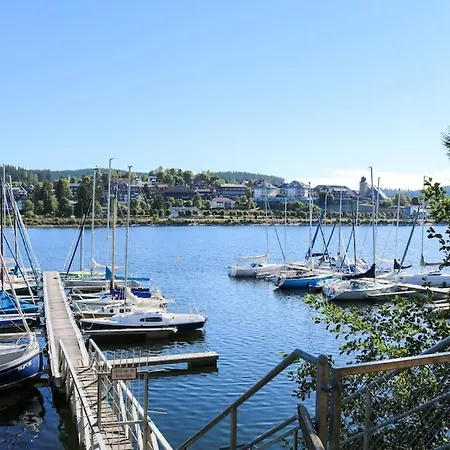 Sperlingskauz Mit Pool, Sauna & Hochschwarzwaldcard *