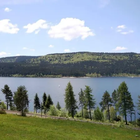 Sperlingskauz Mit Pool, Sauna & Hochschwarzwaldcard *