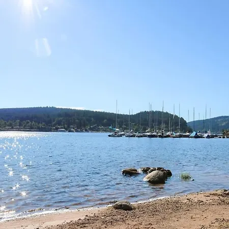Sperlingskauz Mit Pool, Sauna & Hochschwarzwaldcard *