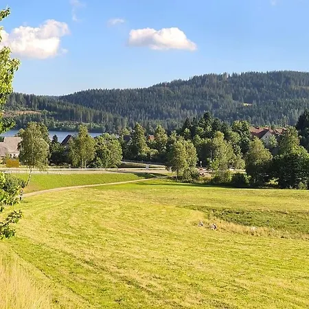 Sperlingskauz Mit Pool, Sauna & Hochschwarzwaldcard 아파트