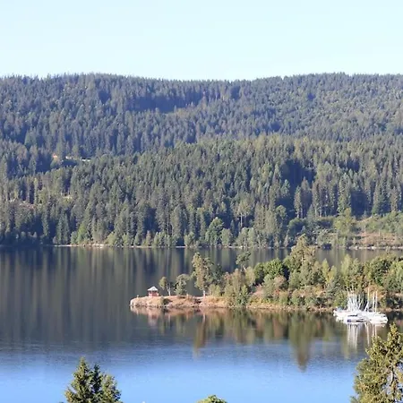 Sperlingskauz Mit Pool, Sauna & Hochschwarzwaldcard * Schluchsee