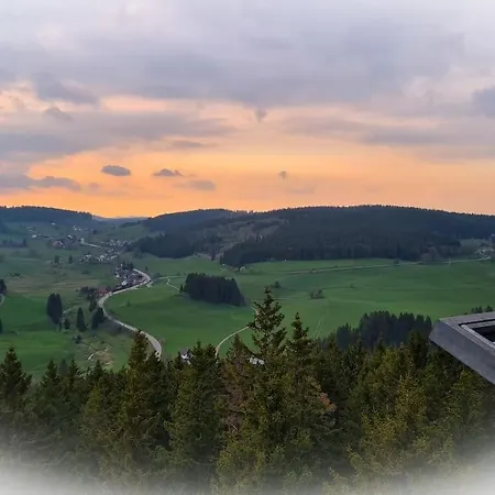 Sperlingskauz Mit Pool, Sauna & Hochschwarzwaldcard *