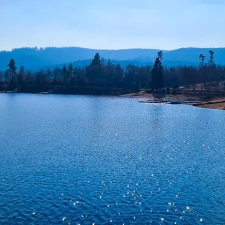 Apartamento Sperlingskauz Mit Pool, Sauna & Hochschwarzwaldcard *