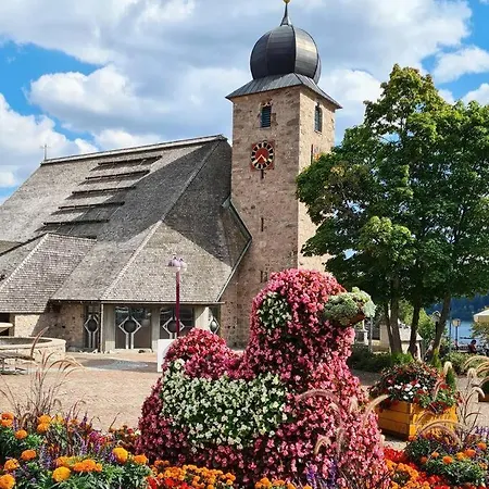 Sperlingskauz Mit Pool, Sauna & Hochschwarzwaldcard *