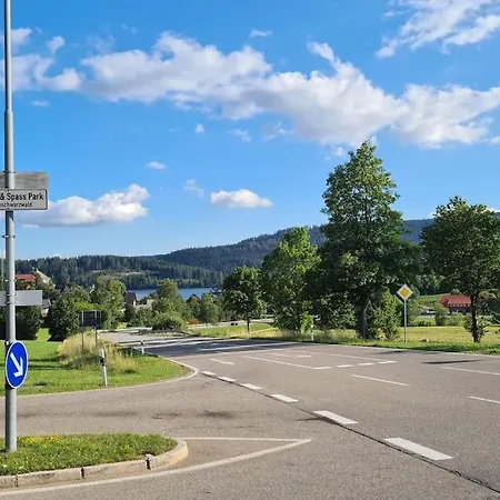 Sperlingskauz Mit Pool, Sauna & Hochschwarzwaldcard Apartment *