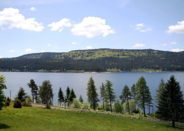 Sperlingskauz Mit Pool, Sauna & Hochschwarzwaldcard *