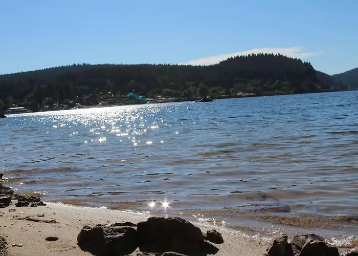 Sperlingskauz Mit Pool, Sauna & Hochschwarzwaldcard Lejlighed *