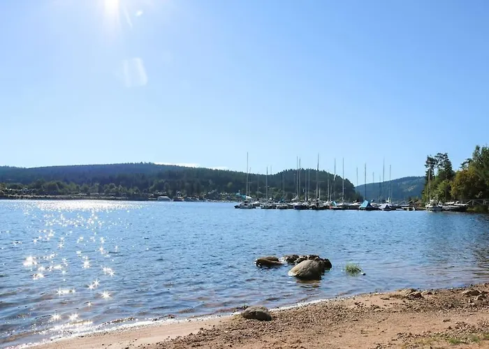 Sperlingskauz Mit Pool, Sauna & Hochschwarzwaldcard *
