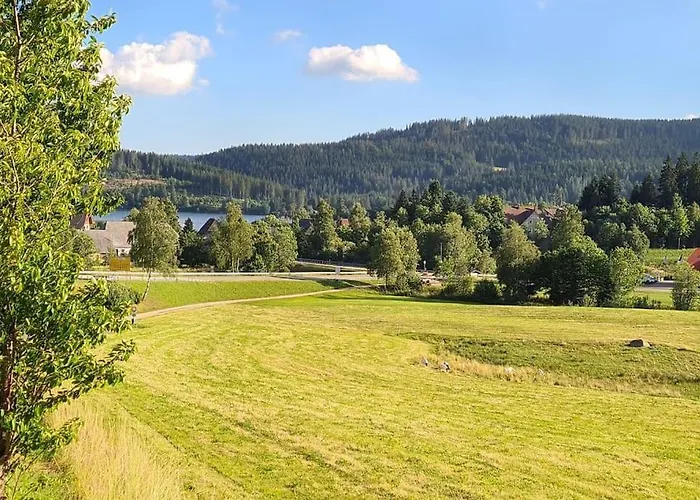 Sperlingskauz Mit Pool, Sauna & Hochschwarzwaldcard Lejlighed