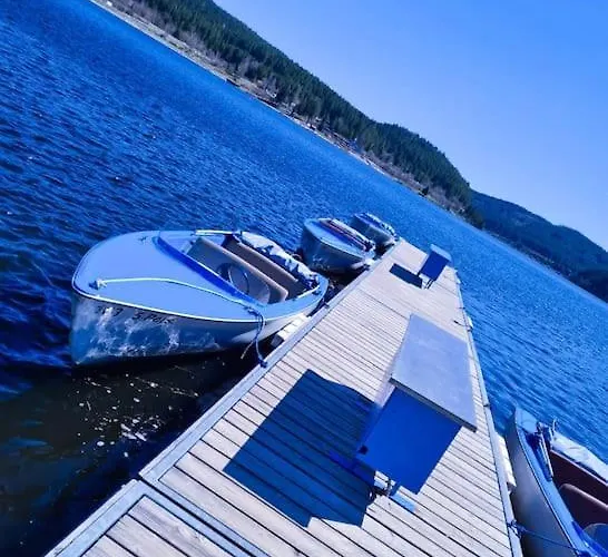 Sperlingskauz Mit Pool, Sauna & Hochschwarzwaldcard Lejlighed Schluchsee