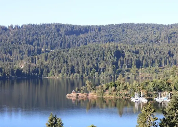 Sperlingskauz Mit Pool, Sauna & Hochschwarzwaldcard * Schluchsee