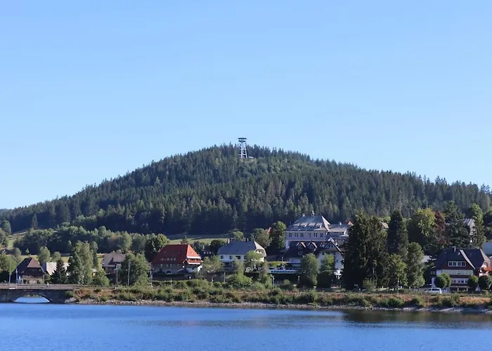 Sperlingskauz Mit Pool, Sauna & Hochschwarzwaldcard * Schluchsee