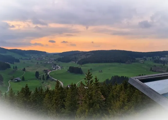 Sperlingskauz Mit Pool, Sauna & Hochschwarzwaldcard *