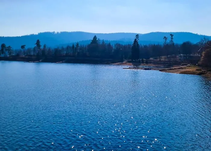 Lejlighed Sperlingskauz Mit Pool, Sauna & Hochschwarzwaldcard *