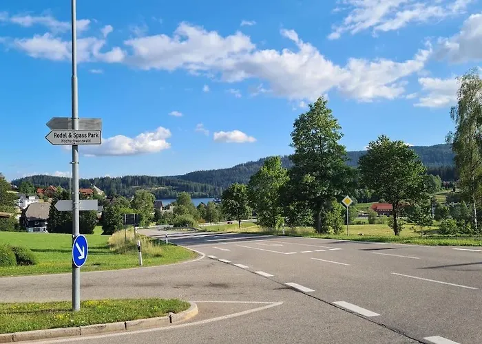 Sperlingskauz Mit Pool, Sauna & Hochschwarzwaldcard Lejlighed *